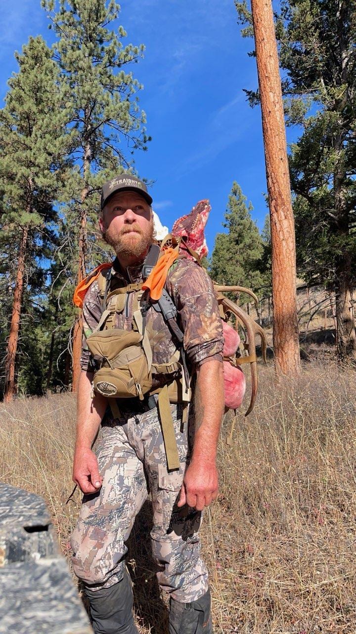 A hunter carries a harvested mule deer on his pack through a forest.
