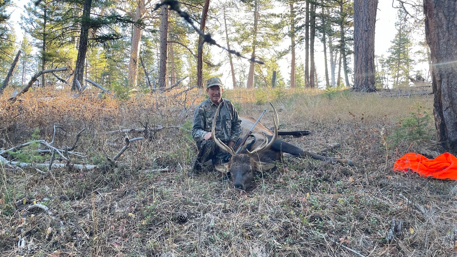 A hunter poses with a harvested elk in a forest setting.
