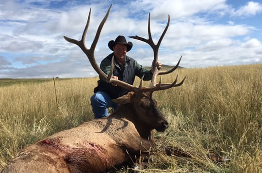 A hunter in a cowboy hat kneels behind a harvested elk in a grassy field.