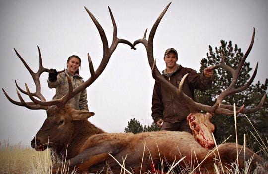 Two hunters pose with two harvested elk in a field.