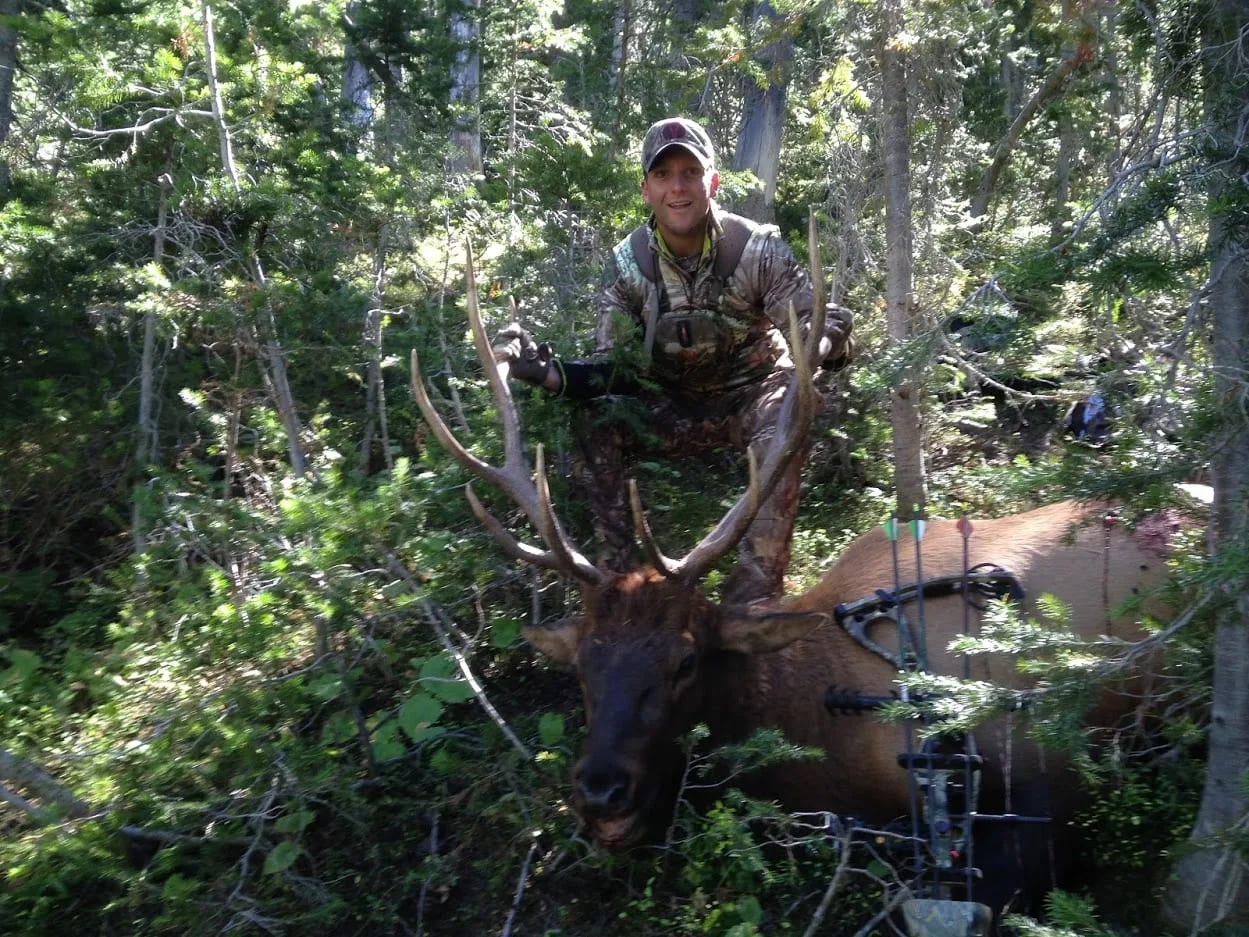 A hunter poses with a harvested elk in a forest.