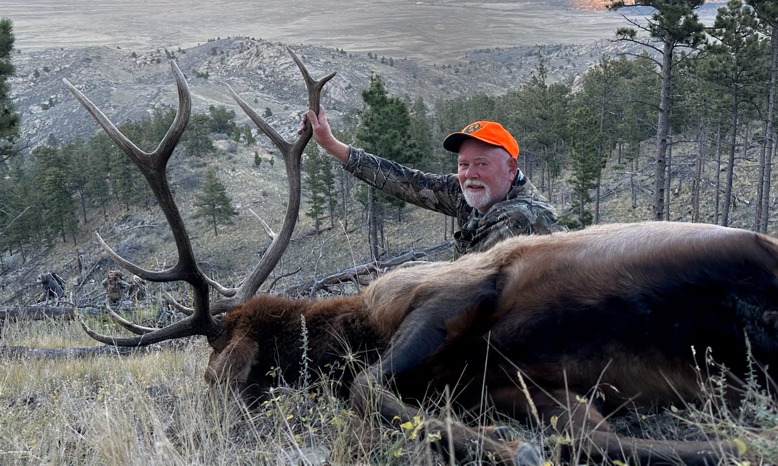 A hunter in an orange hat poses with a large harvested elk in a mountainous, forested area.