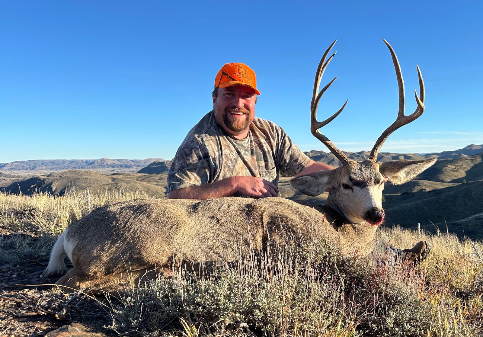 A hunter in an orange hat poses with a harvested mule deer in a field.