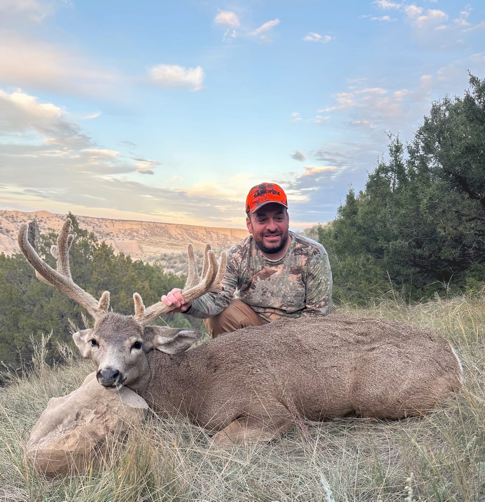 A hunter in camouflage and an orange hat poses with a harvested mule deer in a grassy field with hills in the background.