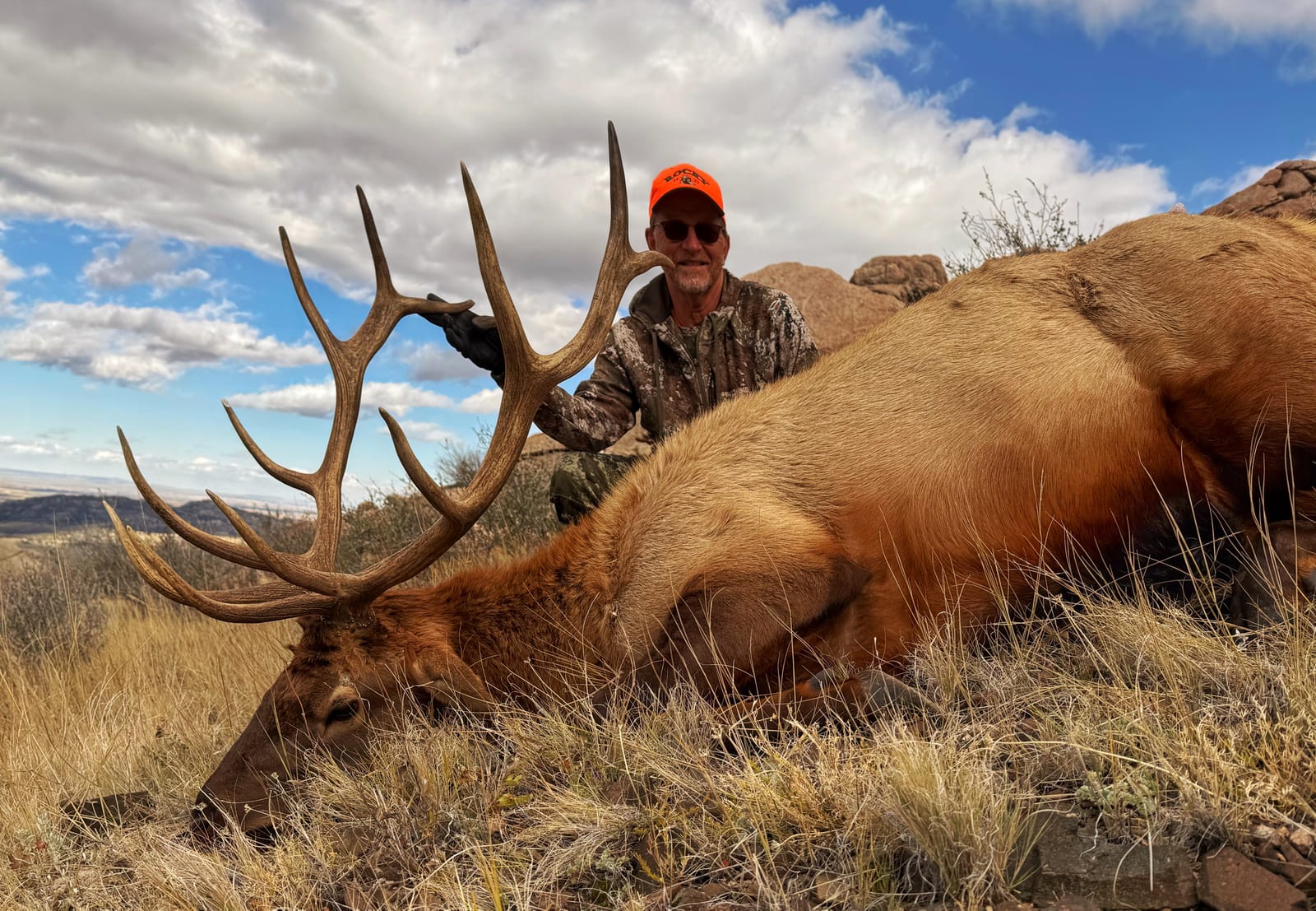 A hunter in an orange hat and camouflage poses with a harvested elk in a grassy field under a cloudy sky.