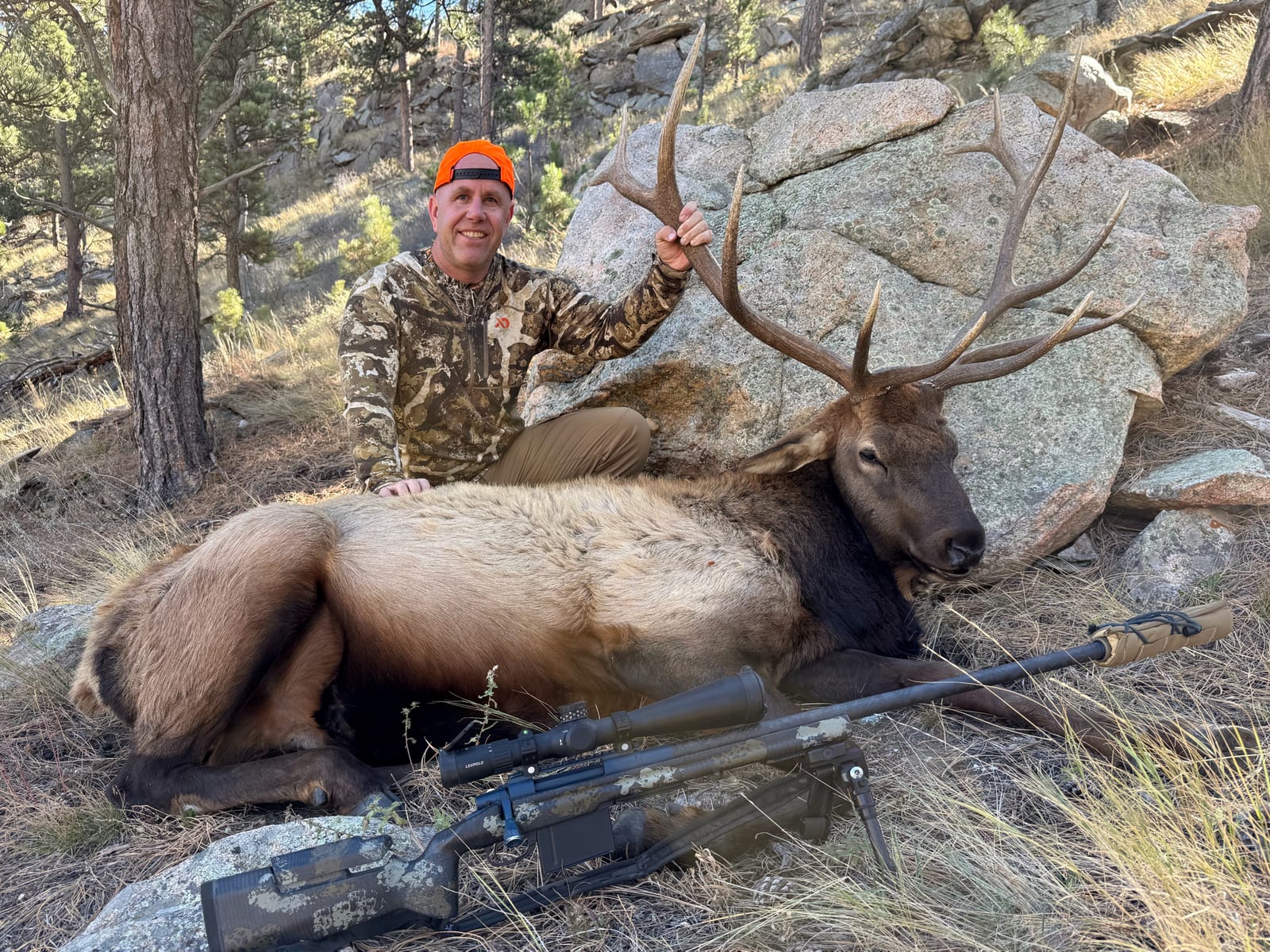 A hunter in camouflage and an orange hat poses with a harvested elk and a rifle on the ground.