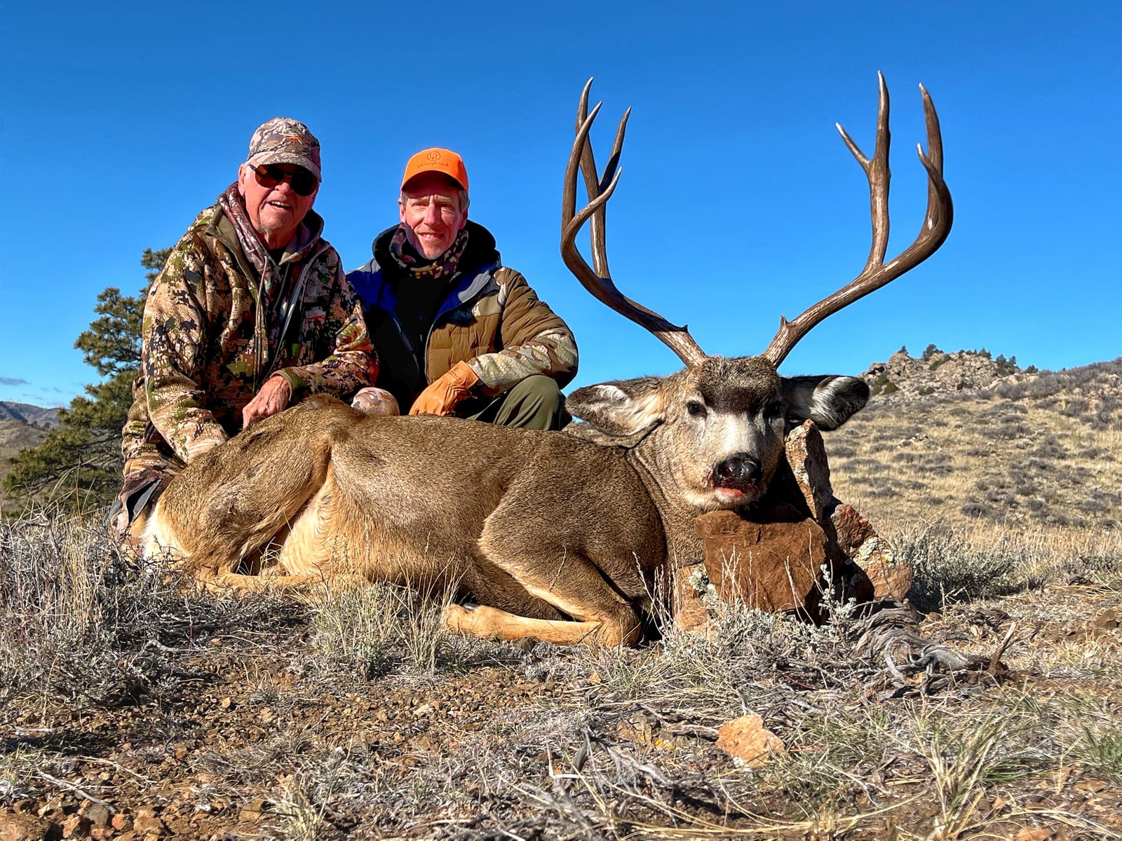 Two hunters pose with a harvested mule deer in a field under a clear blue sky.