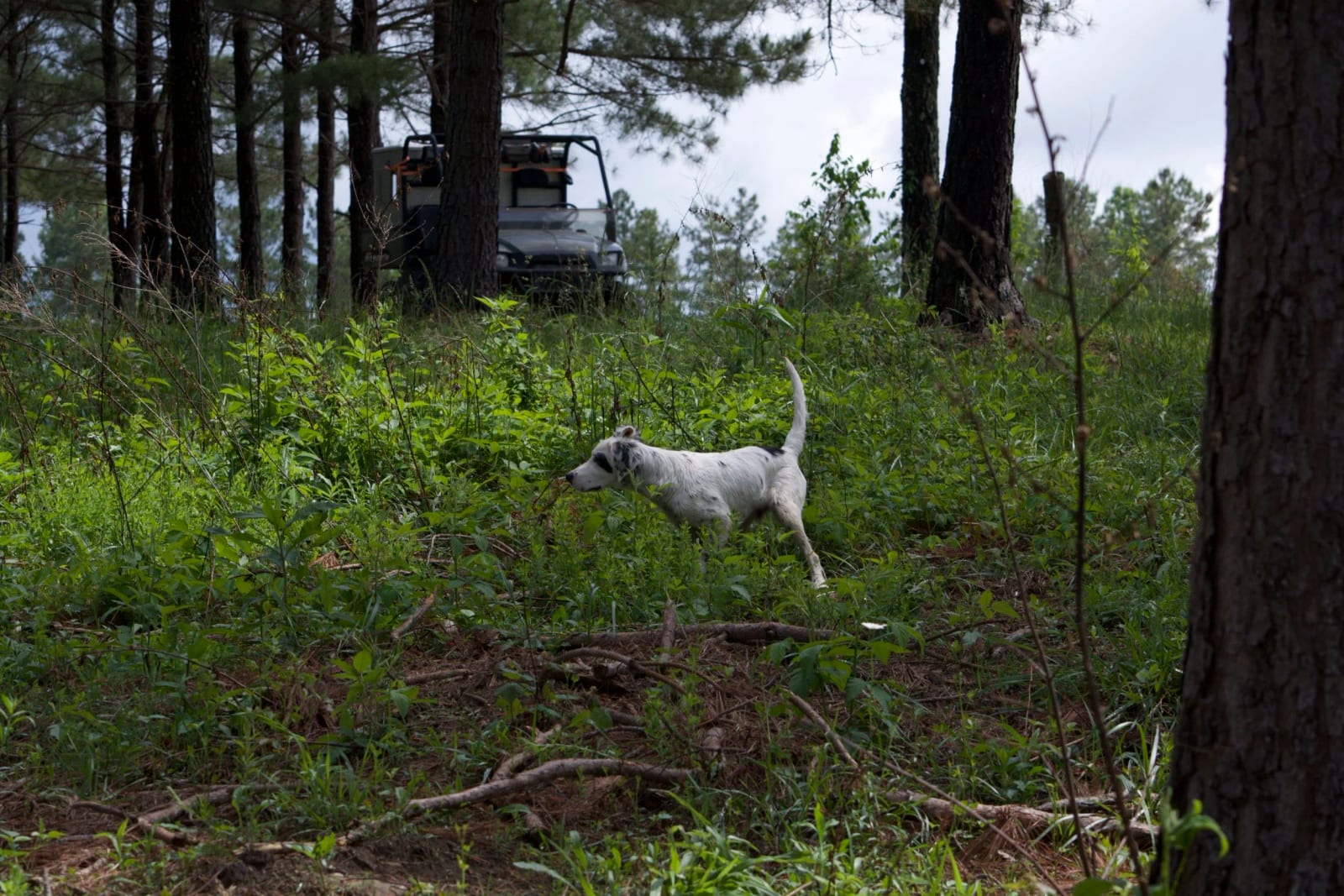 DSC_0095.jpg
