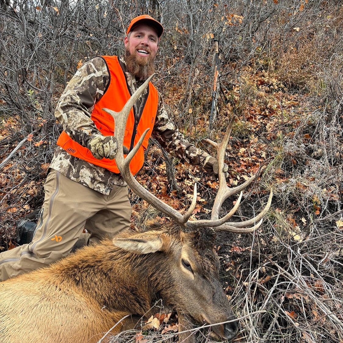 A hunter poses with a harvested elk in a wooded area.