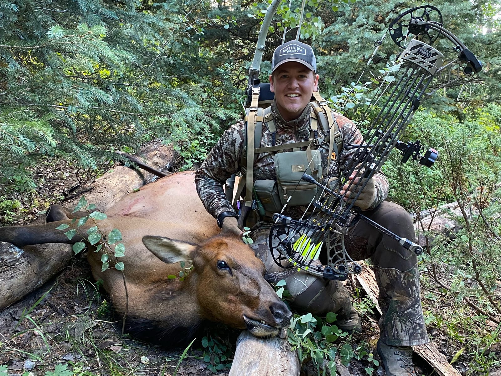 2023 Archery Elk Season Recap