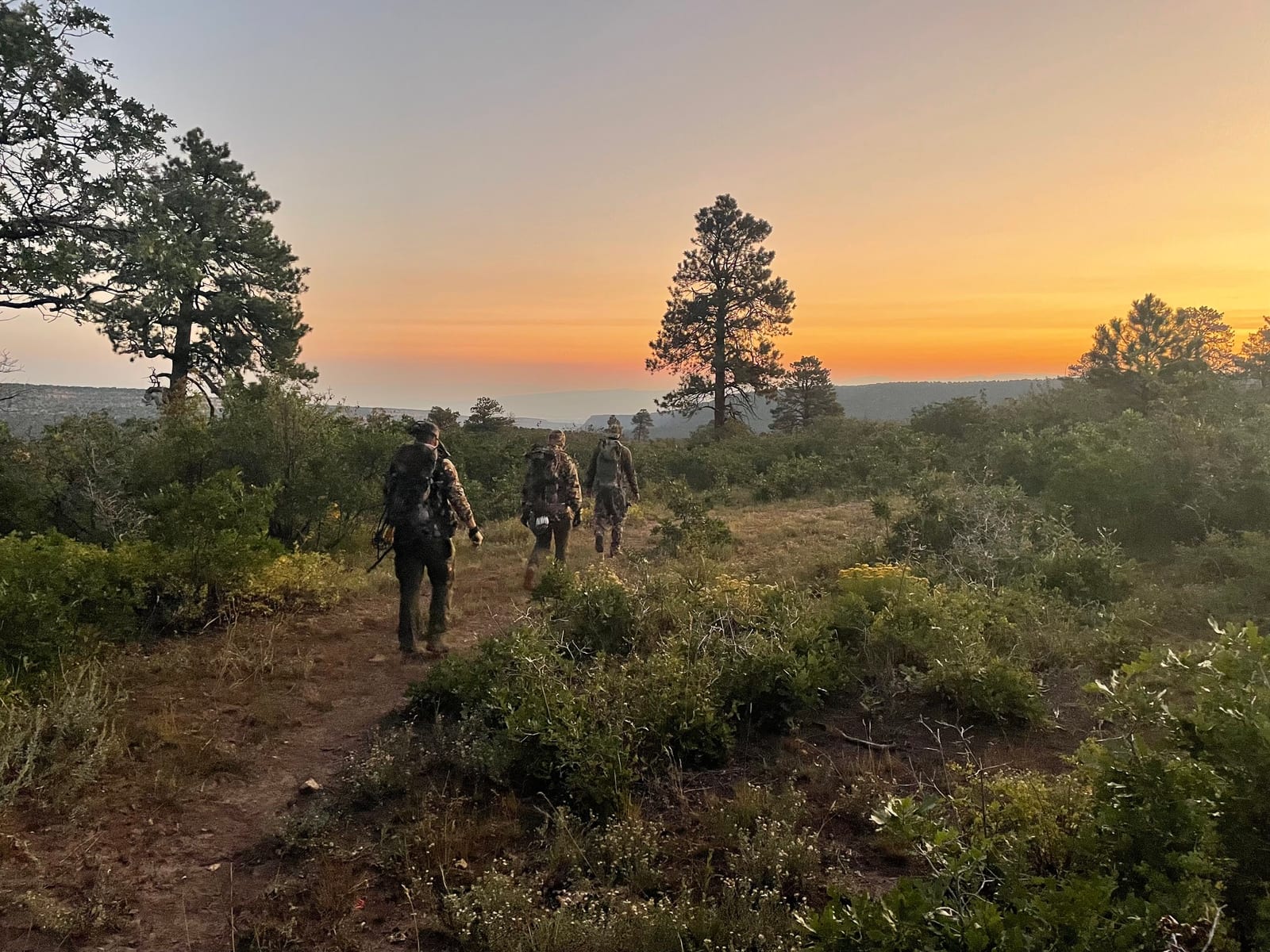 Guided Archery Elk Hunt
