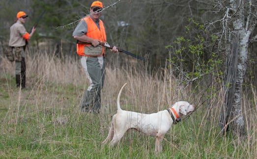 Two hunters with shotguns and a pointing dog in a grassy field.
