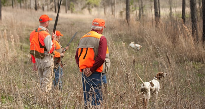 Hunters and a dog are in a field with a quail in flight.