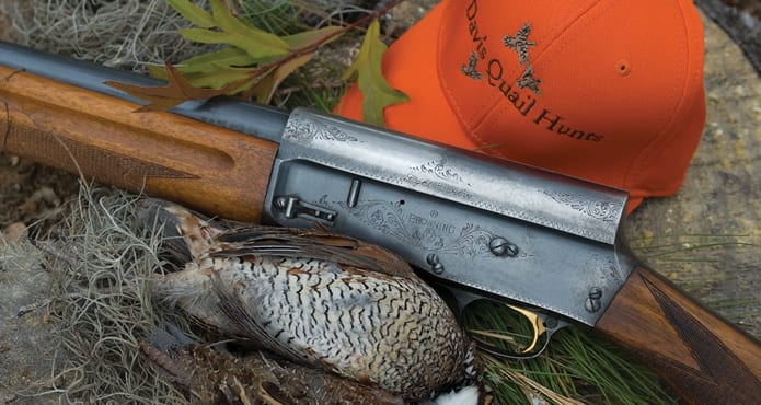 A harvested northern bobwhite quail lies next to a shotgun and an orange hunting cap.