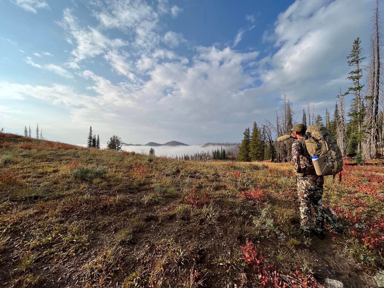 A hunter with a backpack and spotting scope looks out over a foggy valley from a hillside.