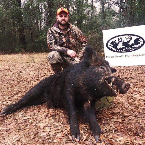 Hog 1