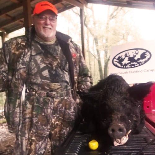 Hog 3