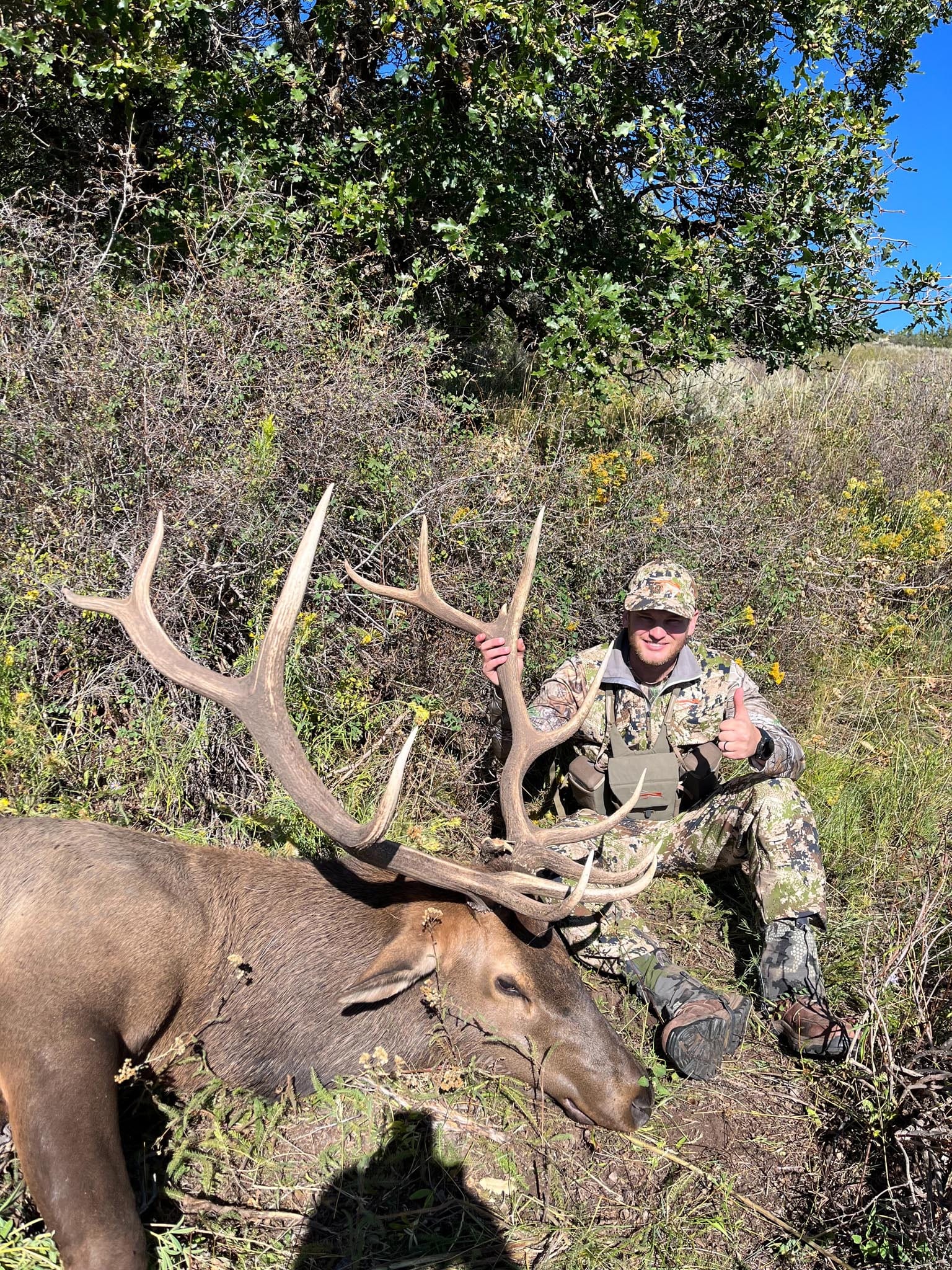 elk-hunts-gallery (7)