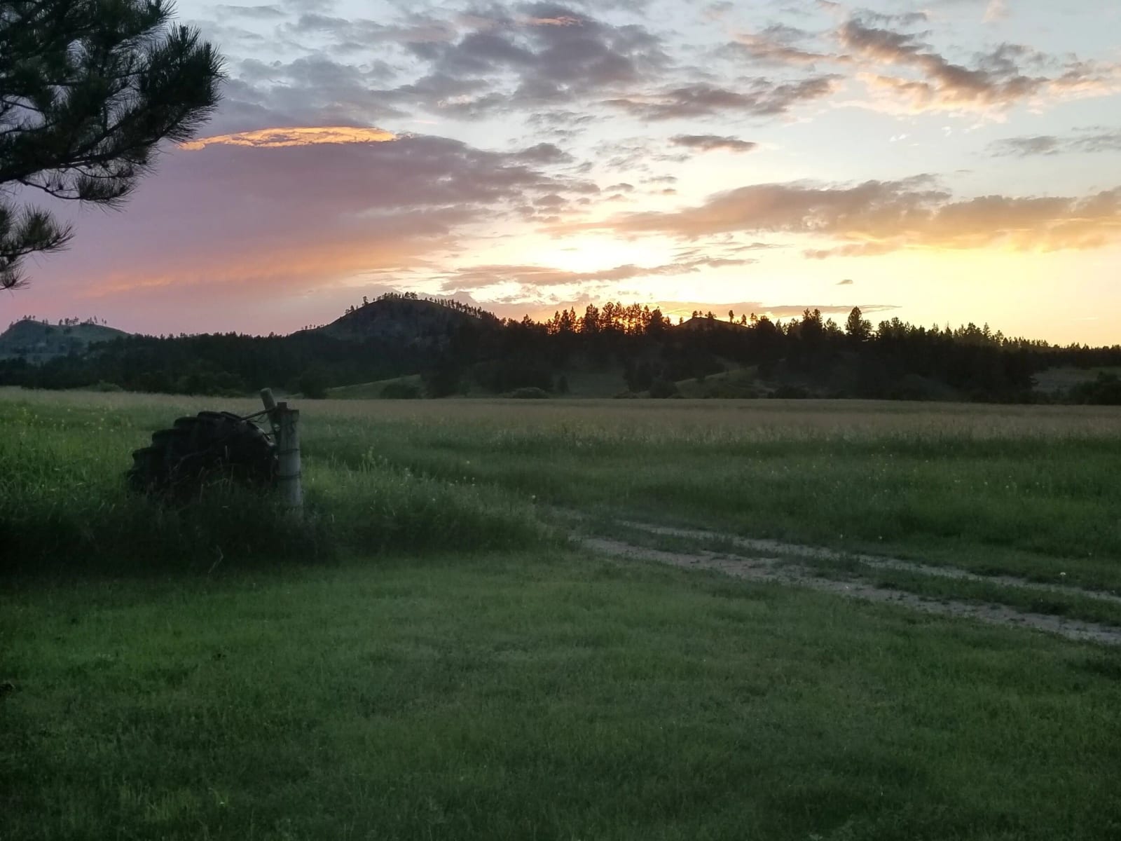 A sunset over a grassy field with distant hills and trees.