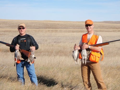 Sharptails!