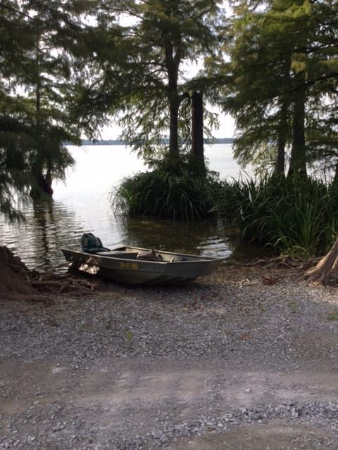 A small boat is pulled onto a gravel shore next to a lake surrounded by trees.