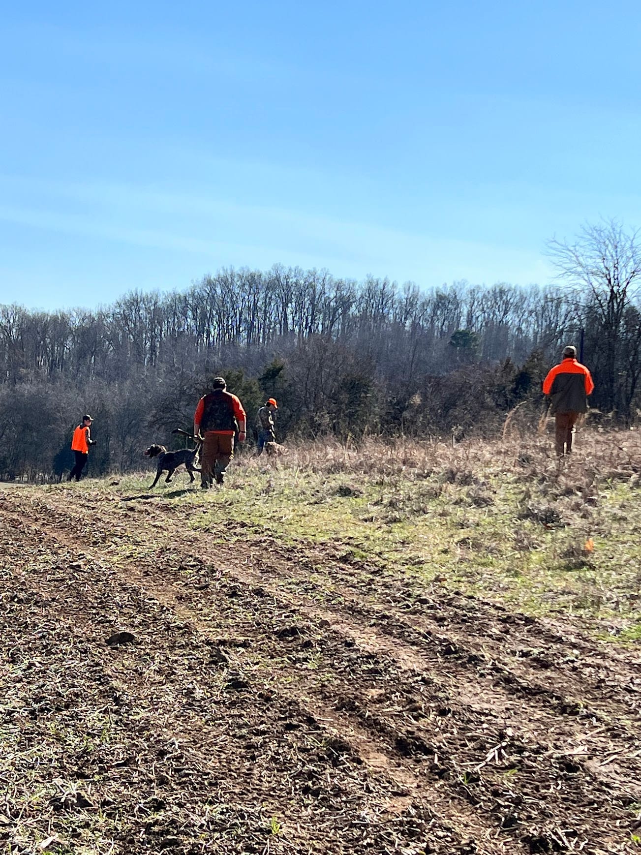 Hunting Group 2 image