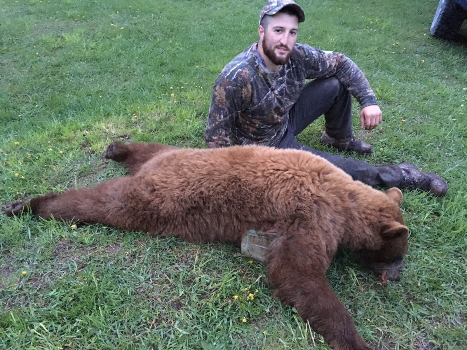 A hunter sits next to a harvested brown phase black bear on the grass.