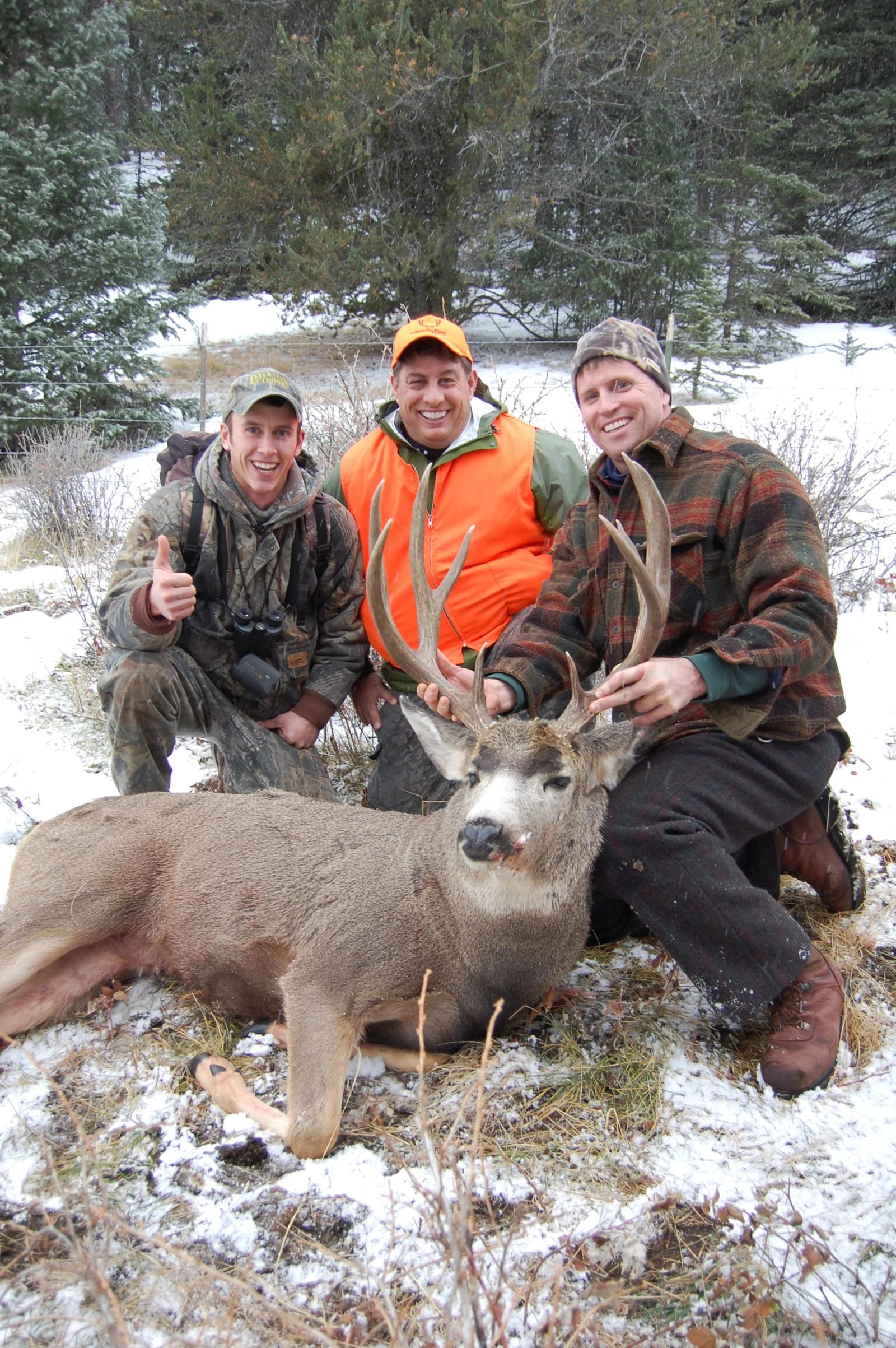 Three men kneeling on snow-covered ground, smiling and posing with a large deer they hunted, in a wooded outdoor area.