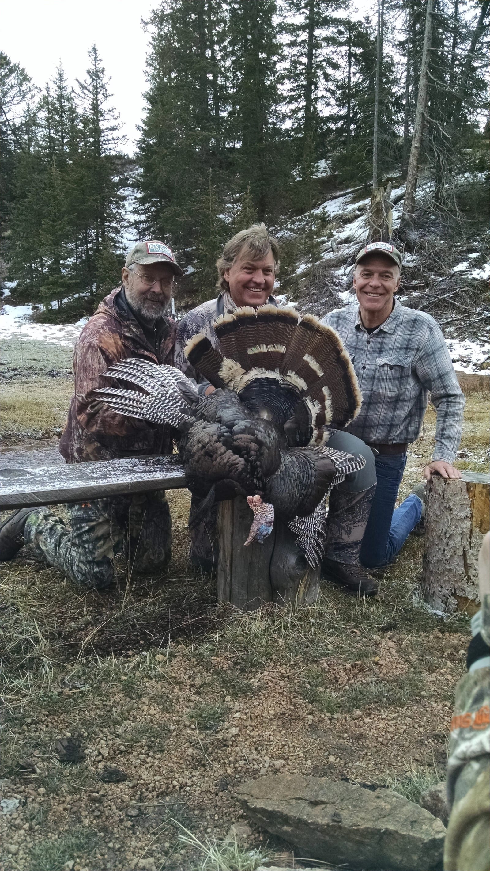 Three men kneeling outdoors in a forested area, posing with a large, dead turkey on a bench, smiling at the camera.