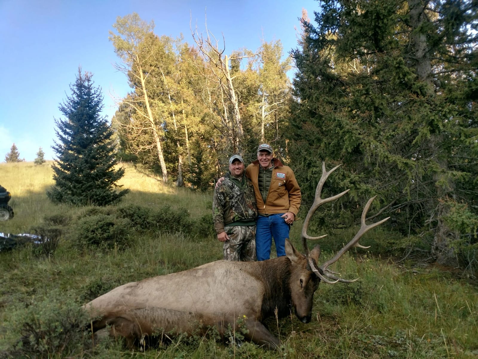 Two men stand together behind a large, elk with impressive antlers in a forested area during daytime.