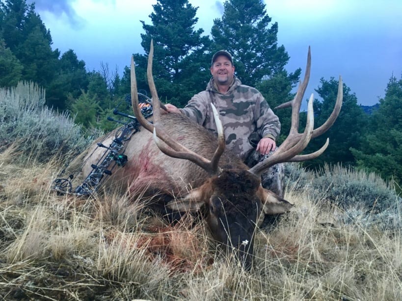 Archery Elk Hunts in Montana