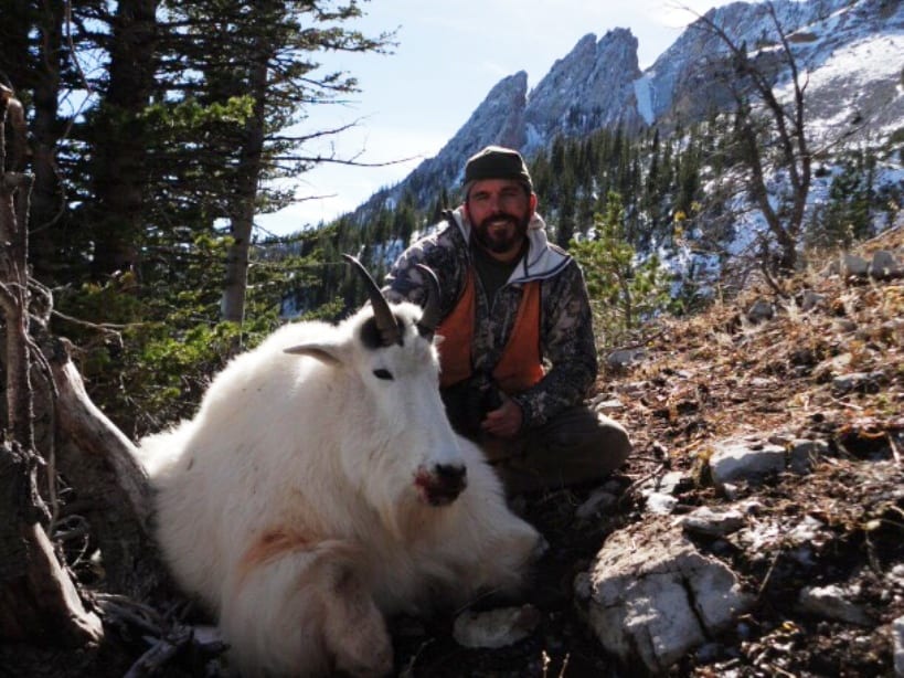 Mountain Goat Hunts in Montana