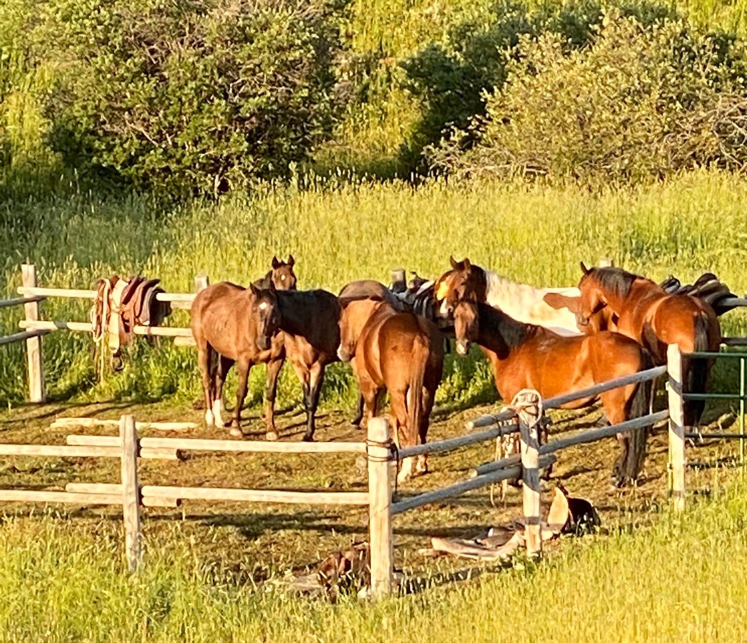 Elk River Outfitters