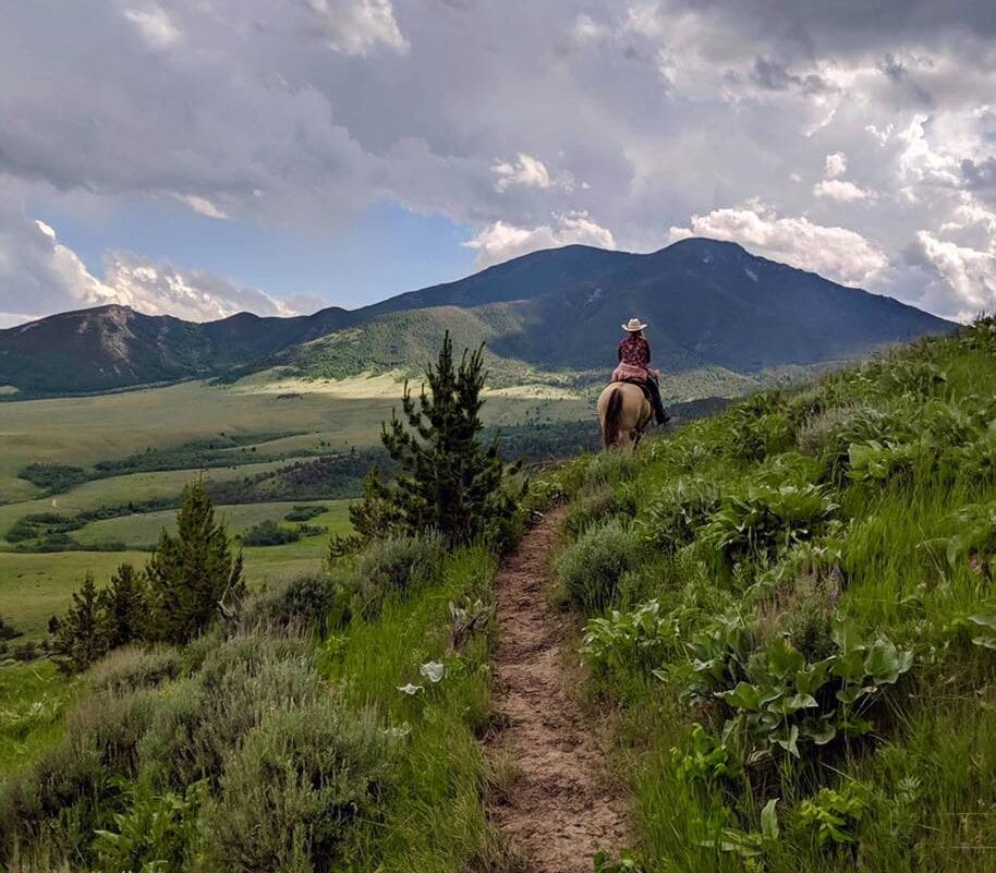 A person on horseback rides a trail through a green, mountainous landscape under a cloudy sky.