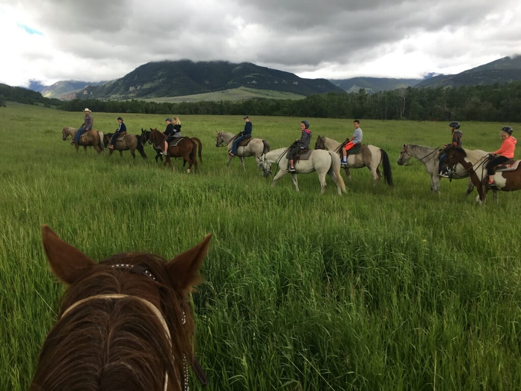 People ride horses through a grassy field with mountains in the background.