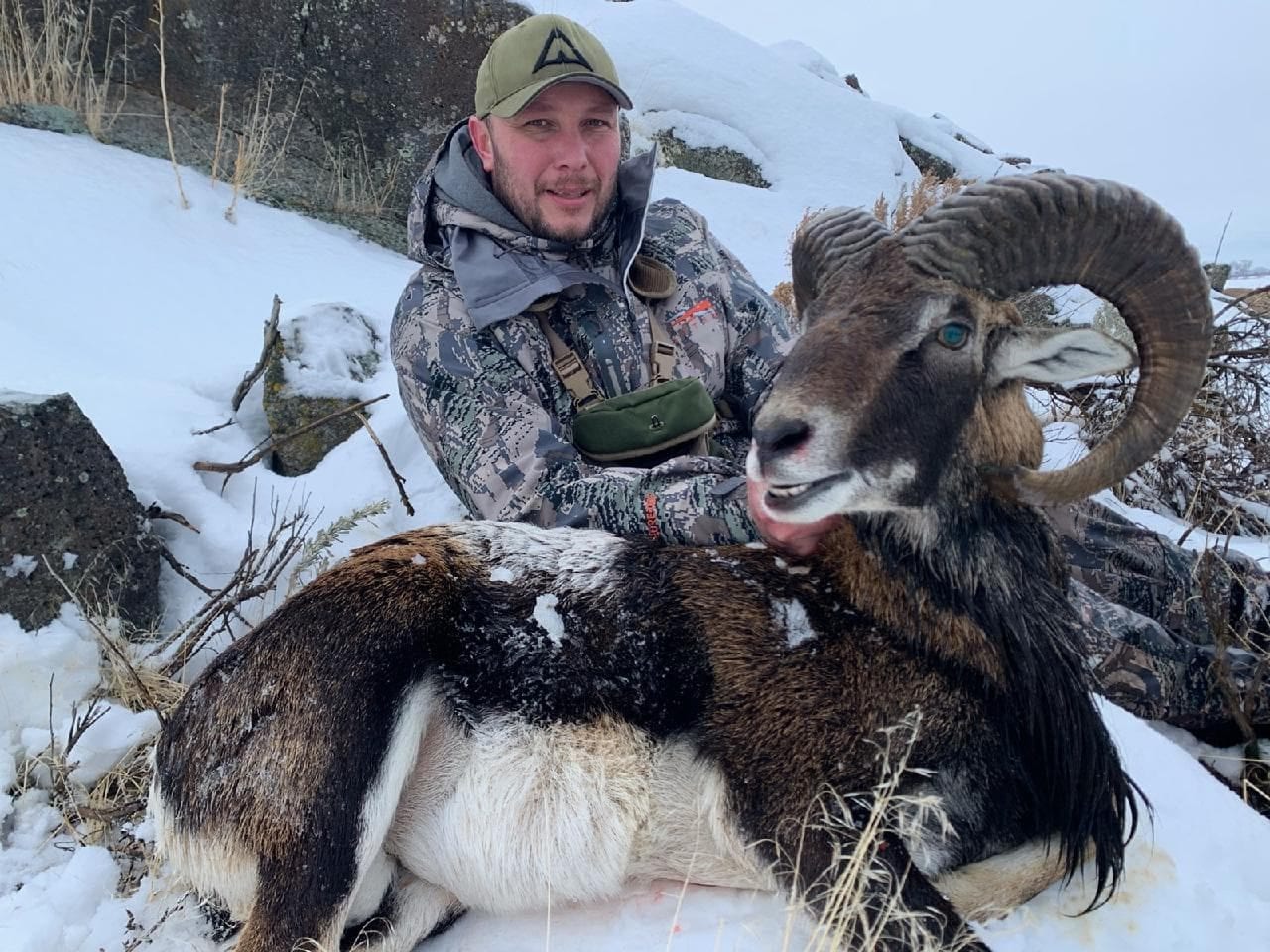 A hunter poses with a harvested Mouflon ram in a snowy landscape.