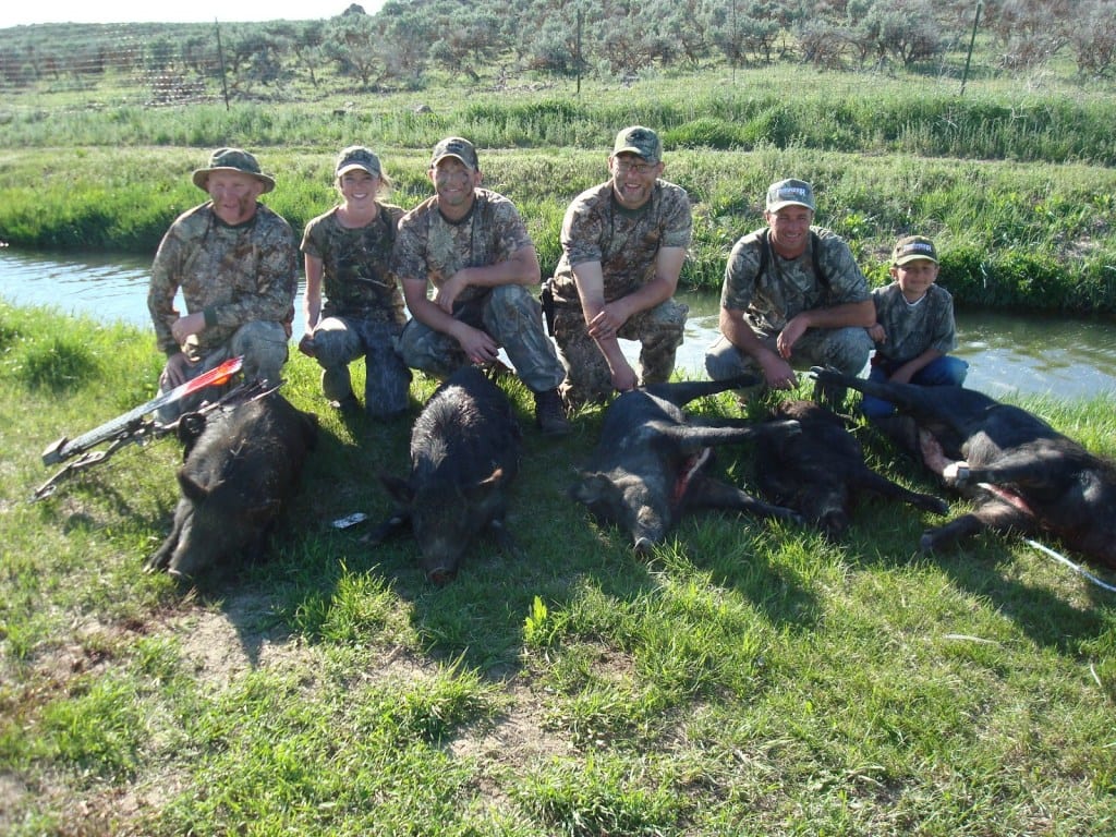 Several hunters pose with harvested wild boars in a grassy field next to a stream.