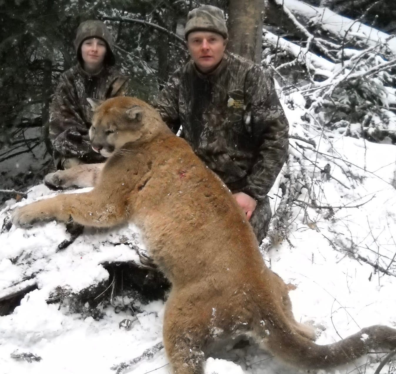 Two hunters pose with a harvested mountain lion in a snowy forest.