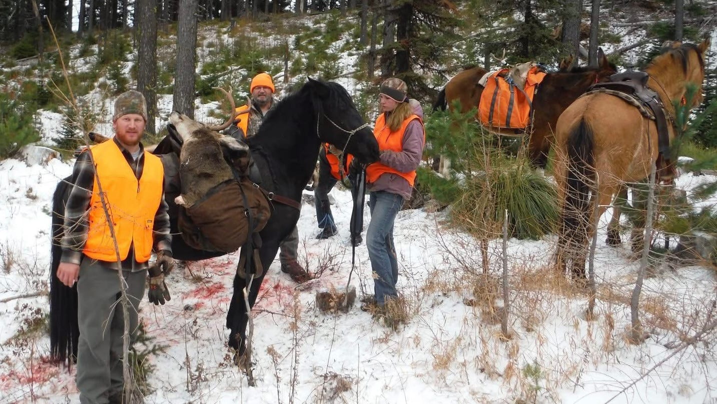 Hunters and guides pack out a harvested moose on horseback in a snowy forest.