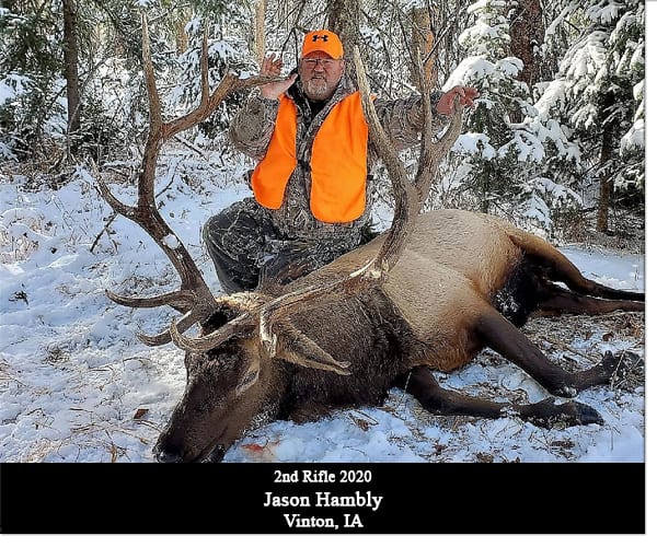 A hunter in an orange vest poses with a harvested elk in a snowy forest.