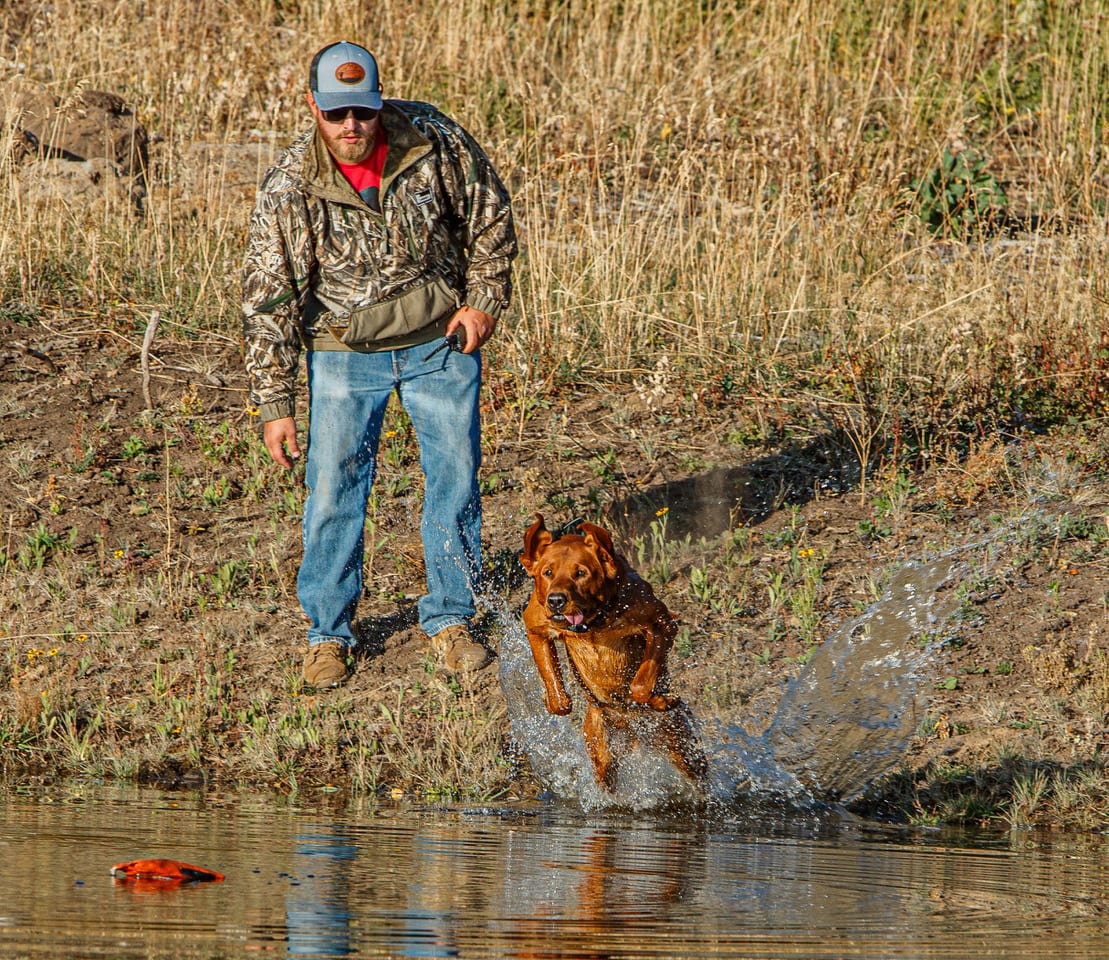 A man watches his dog retrieve an object from the water.