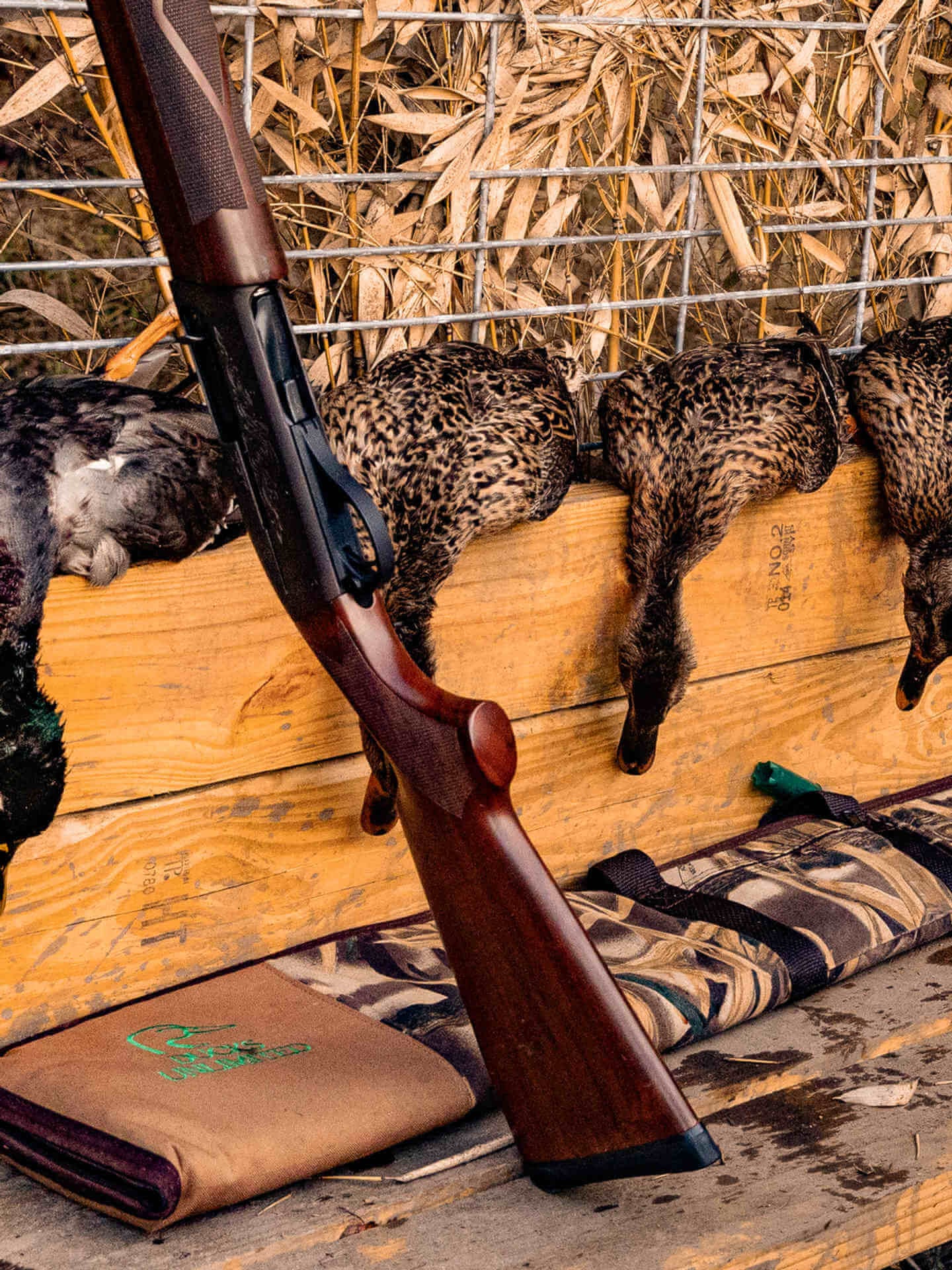 A shotgun and harvested pheasants are displayed on a wooden surface.