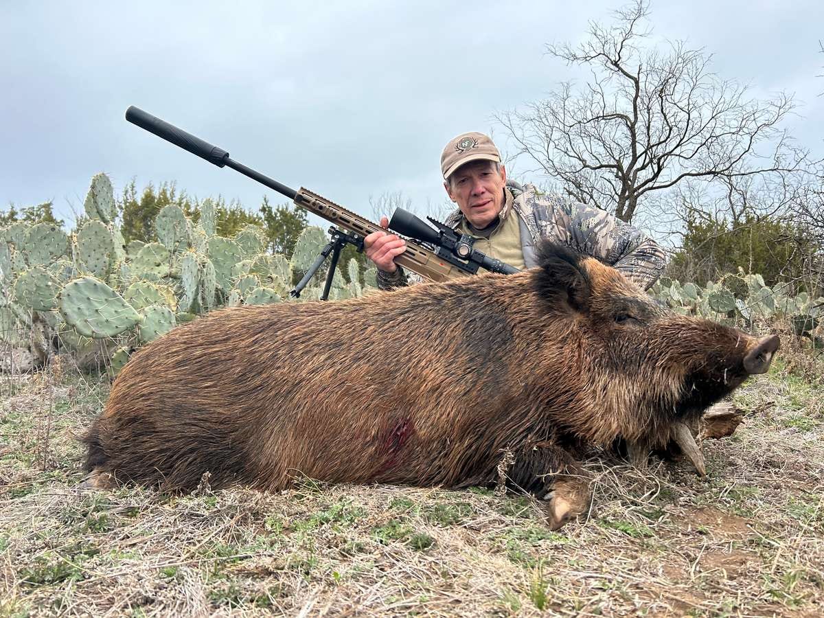 Hog Hunts