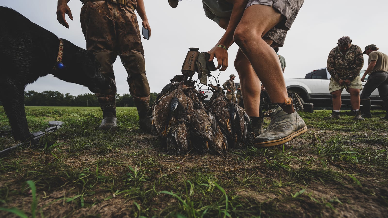 Georgia Guided Duck Hunts