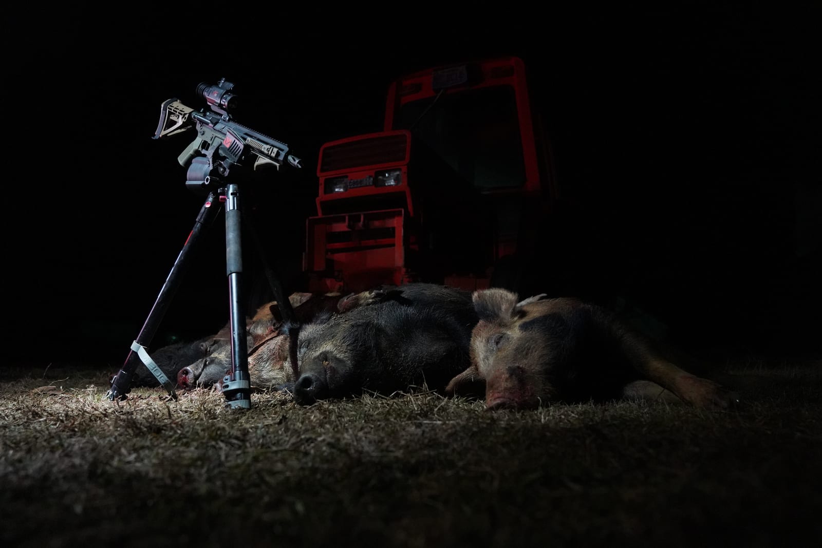 Wild Hog Hunts Georgia
