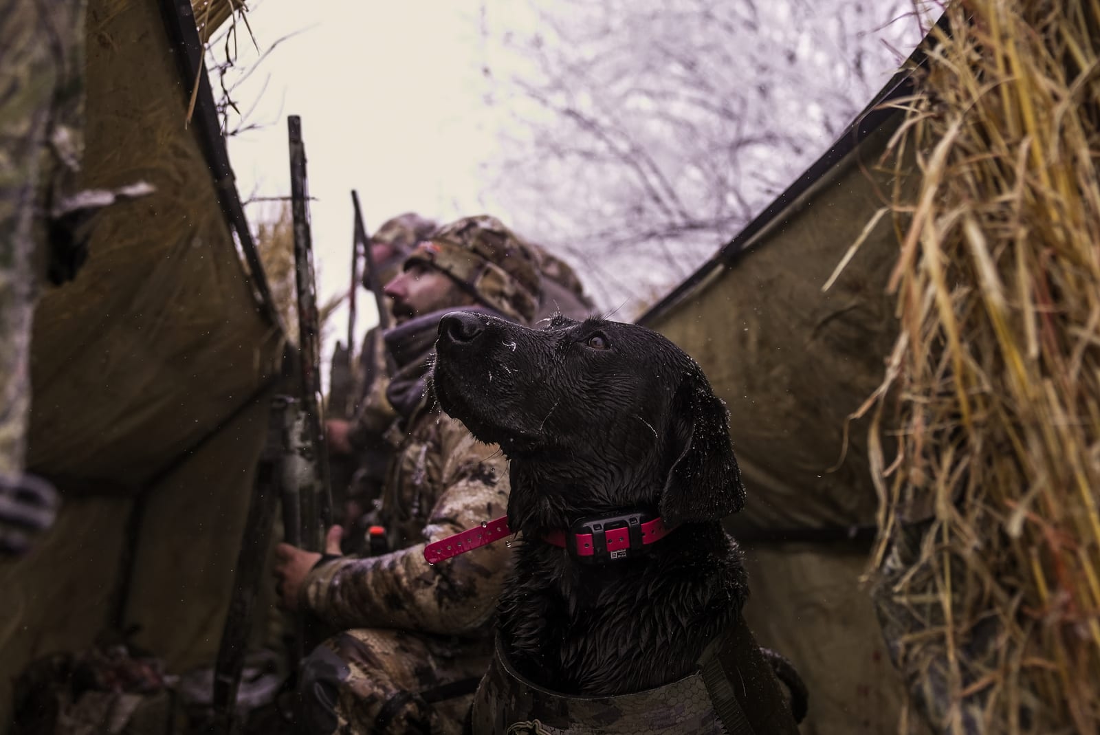 Georgia Guided Deer Hunts