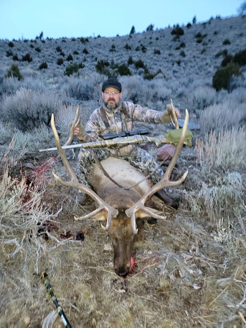 6 point bull 2022