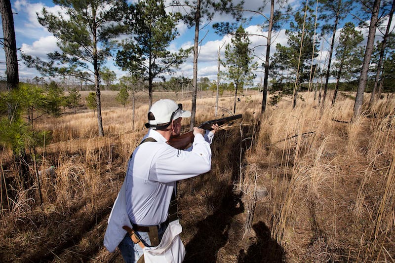 A hunter in a white shirt and cap aims a shotgun in a field with tall dry grass and pine trees.