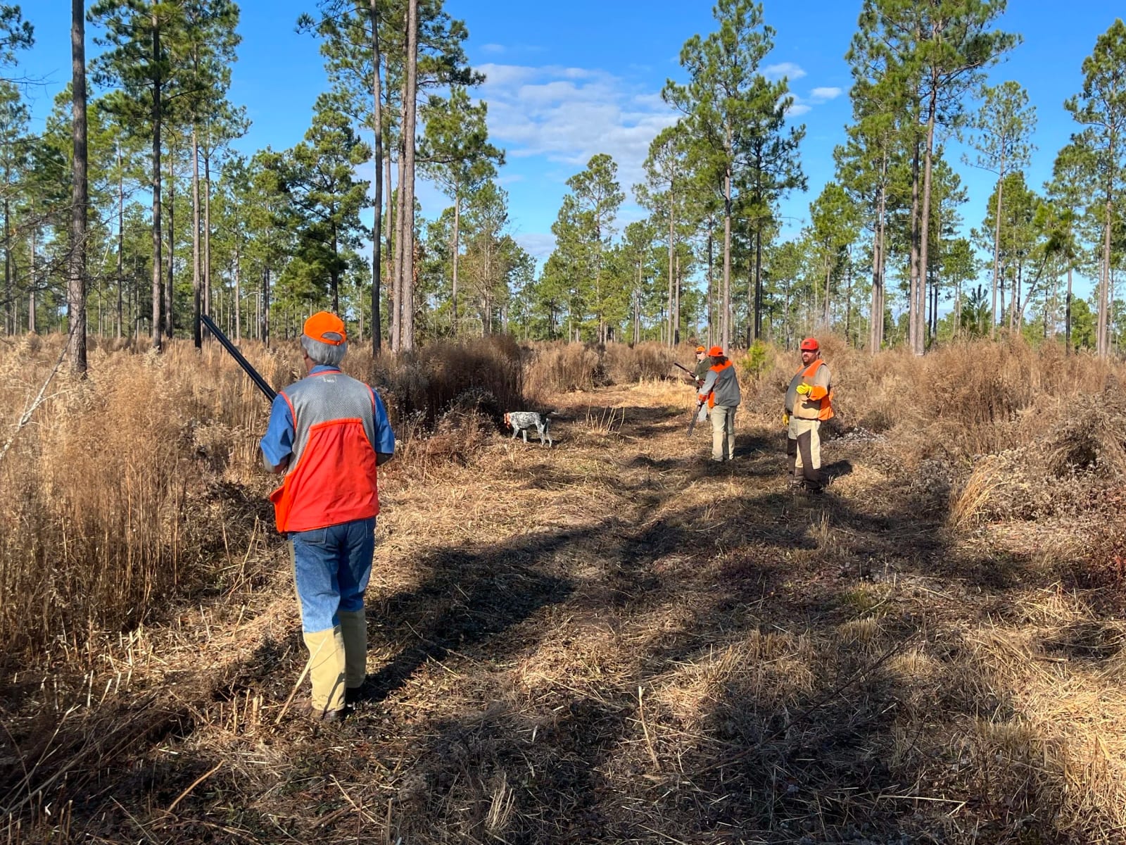 Group of people in a forest clearing performing outdoor work, some holding tools, with trees and blue sky in the background.