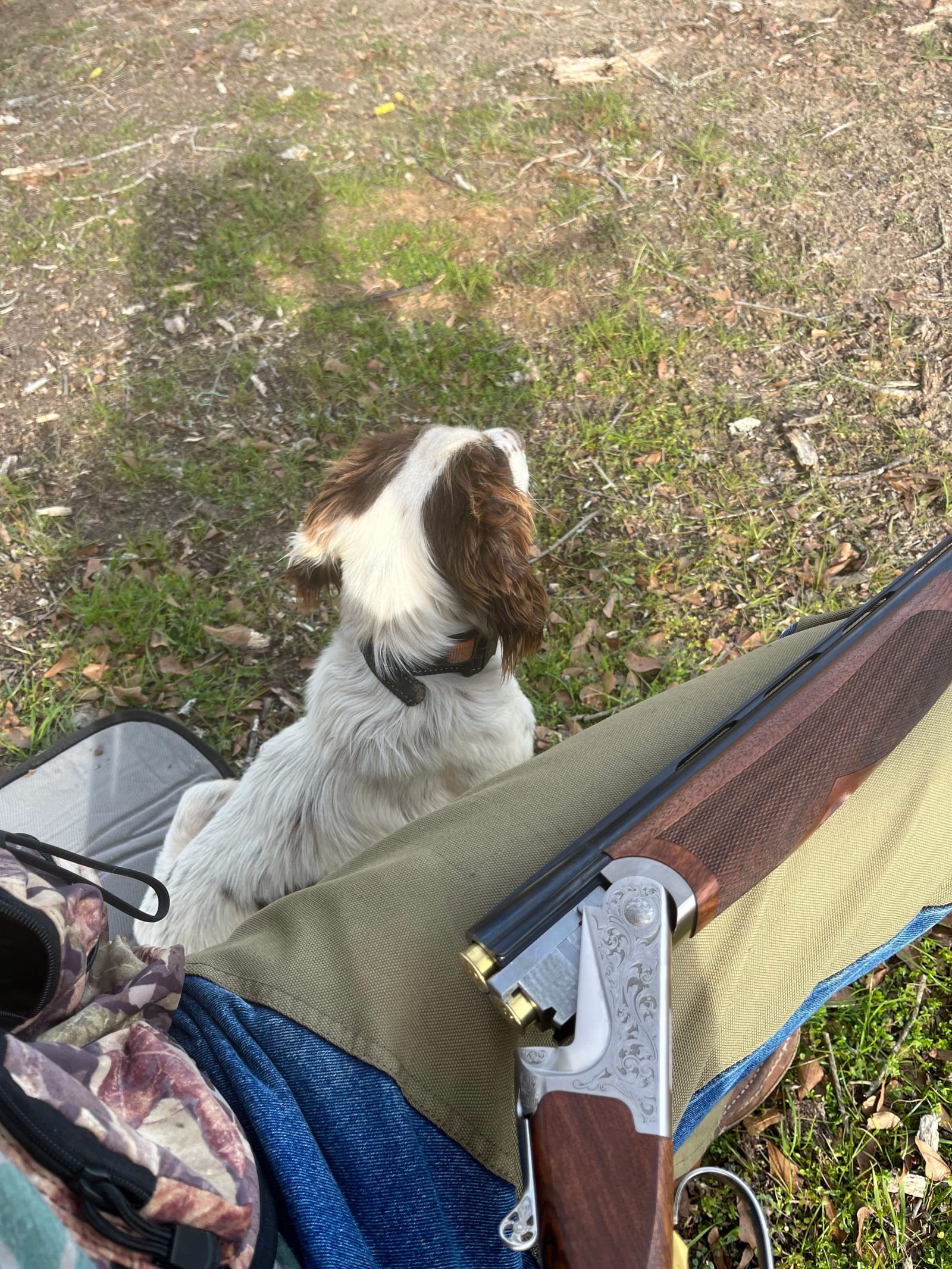 A person sitting on the ground with a shotgun on their lap, next to a white and brown dog sitting among grass and dirt.